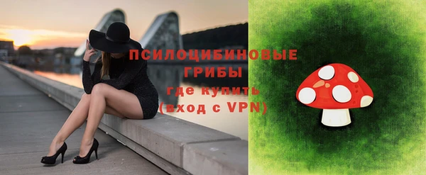 дмт Балахна