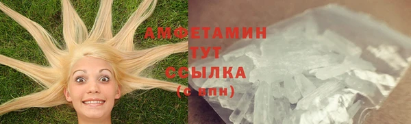 PSILOCYBIN Баксан