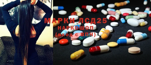 PSILOCYBIN Баксан