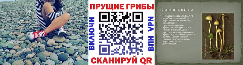 Галлюциногенные грибы GOLDEN TEACHER Торжок